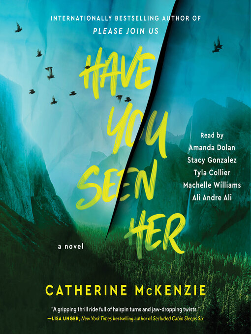 Title details for Have You Seen Her by Catherine McKenzie - Available